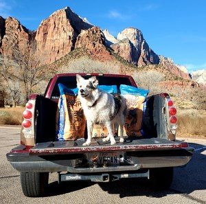 Meet your Posher, Cher-ami